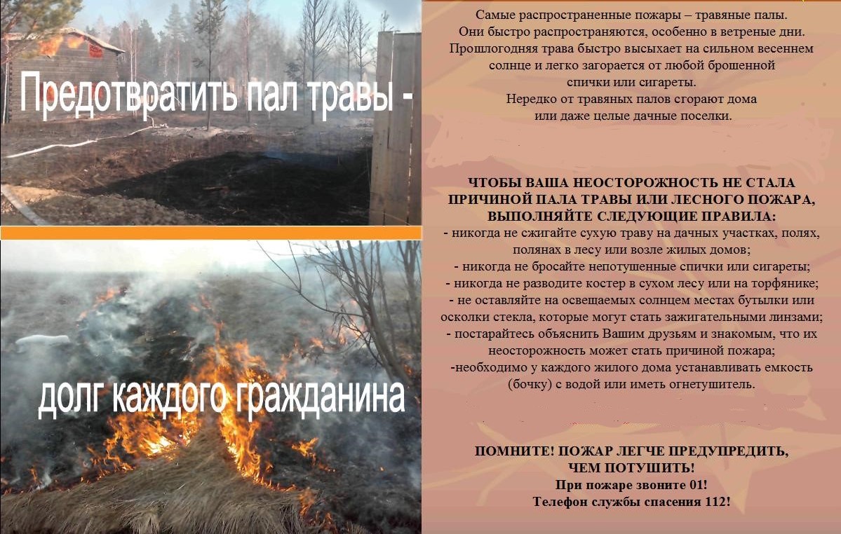 Открыть оригинальное изображение