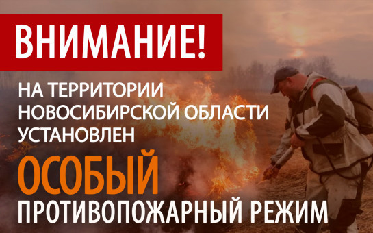 Особый противопожарный режим установлен на всей территории Новосибирской области