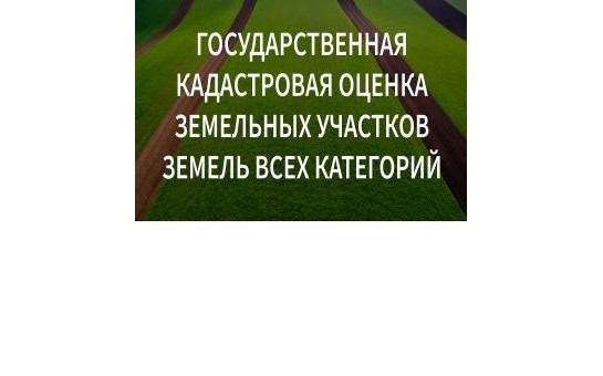 О проведении государственной кадастровой оценки земельных участков