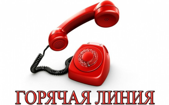 Горячая линия по вопросам противодействия преступлениям и правонарушениям, совершаемым с использованием информационных технологий
